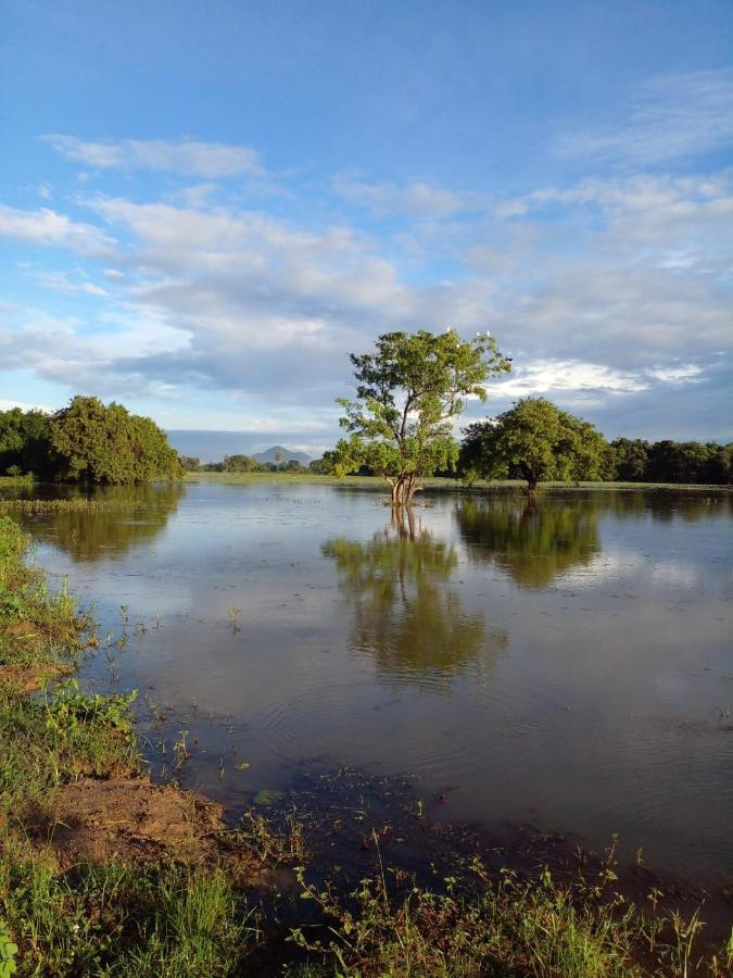 Lake Edge Дамбула Екстериор снимка