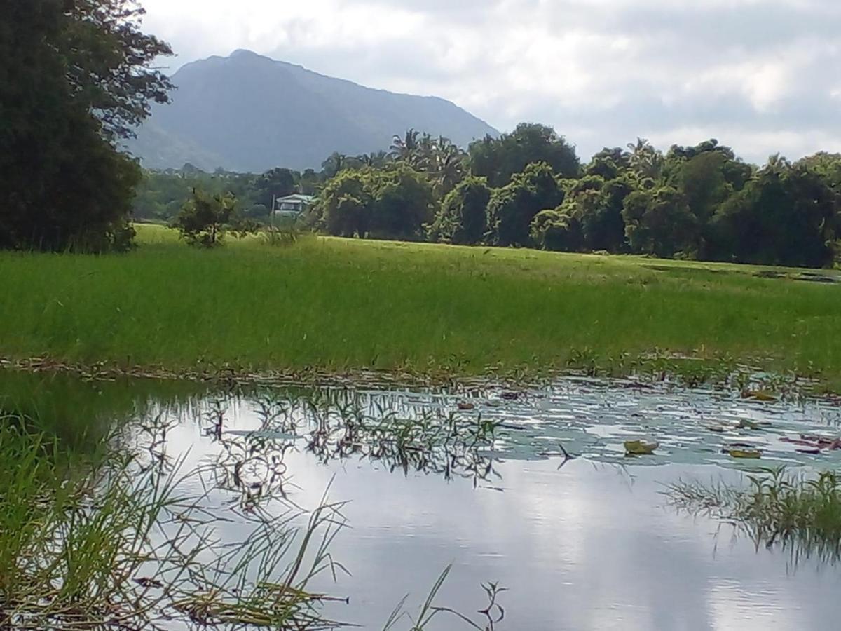 Lake Edge Дамбула Екстериор снимка