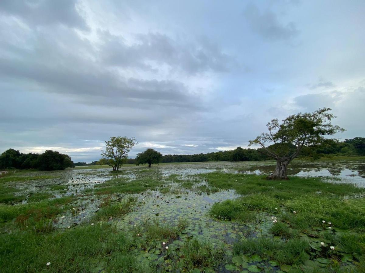 Lake Edge Дамбула Екстериор снимка